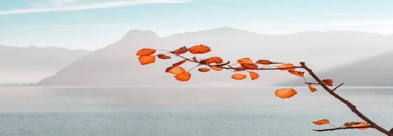 我见青山多妩媚